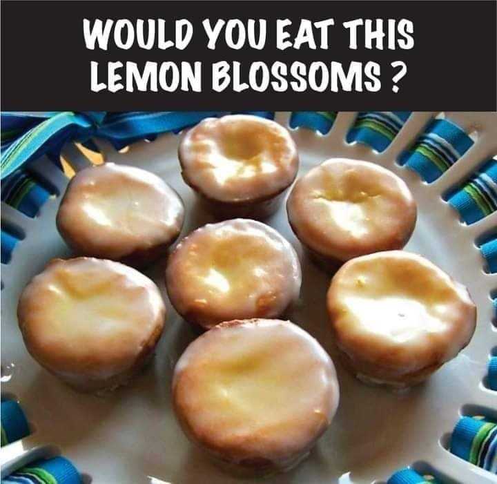 Lemon Blossoms