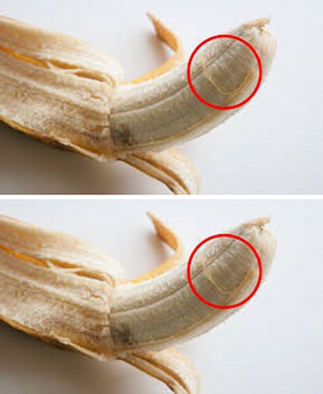What are those little strands on bananas for? Find out here