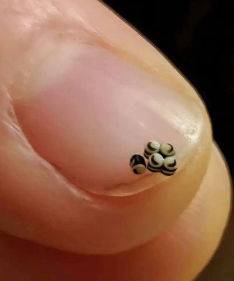 We ordered a salad, but there were tiny black specks in the food, we went straight to the hospital