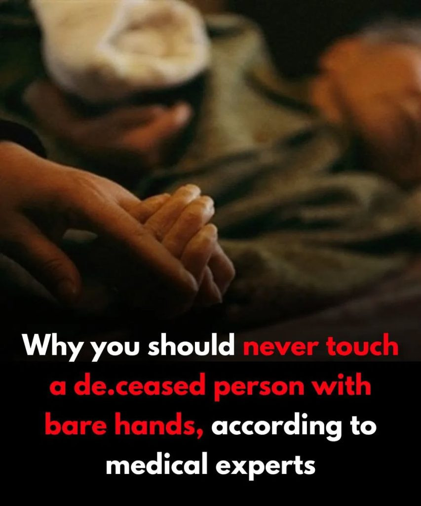 Why You Should Never Touch a De.ceased Bo.dy with Bare Hands – According to Medical Experts