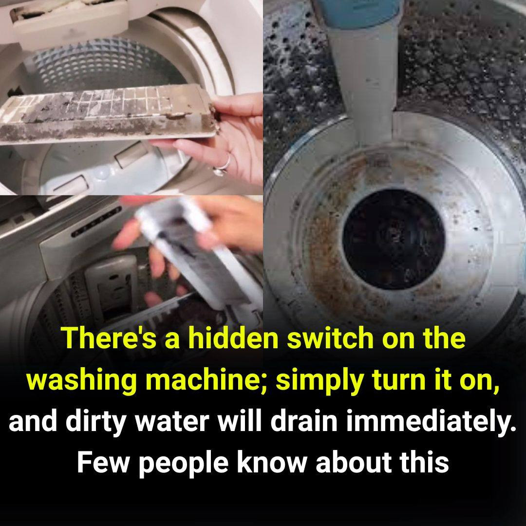 The Hidden Switch on Your Washing Machine That Few People Know About