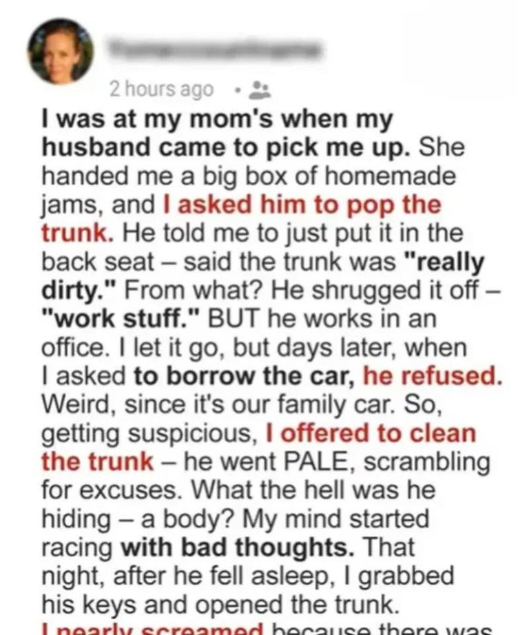 The Locked Trunk, the Hidden Truth, and the Surprise That Changed Everything