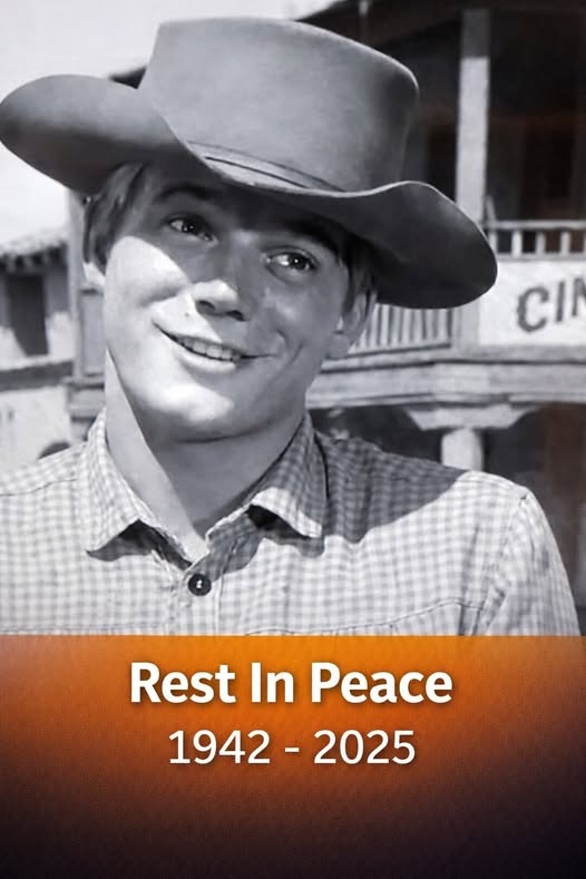 A Classic TV Actor We’ll Always Remember at 83