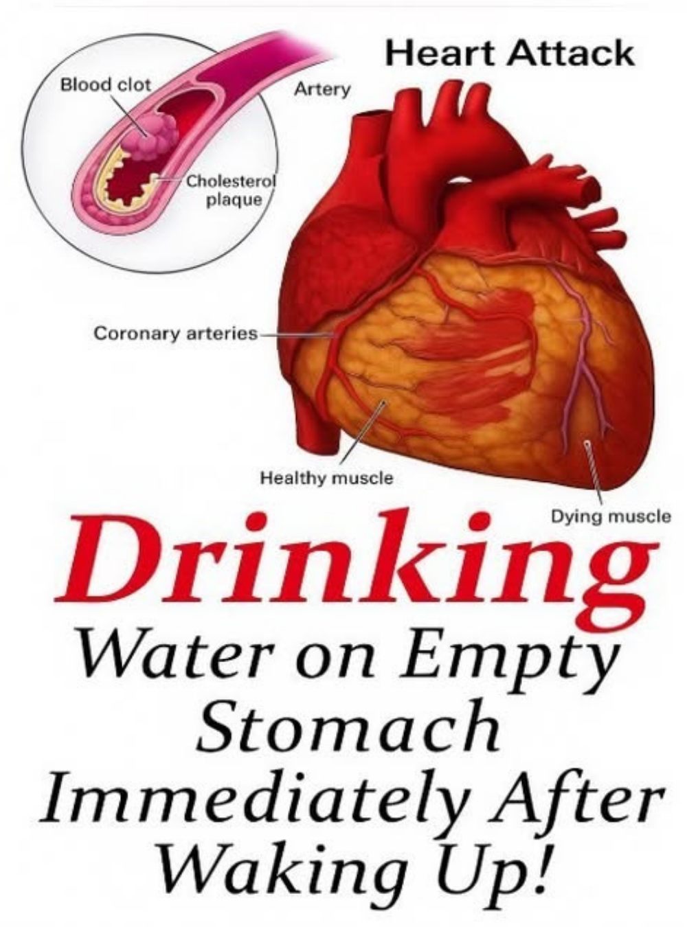 Is Drinking Water First Thing in the Morning Helpful for Overall Well-Being?