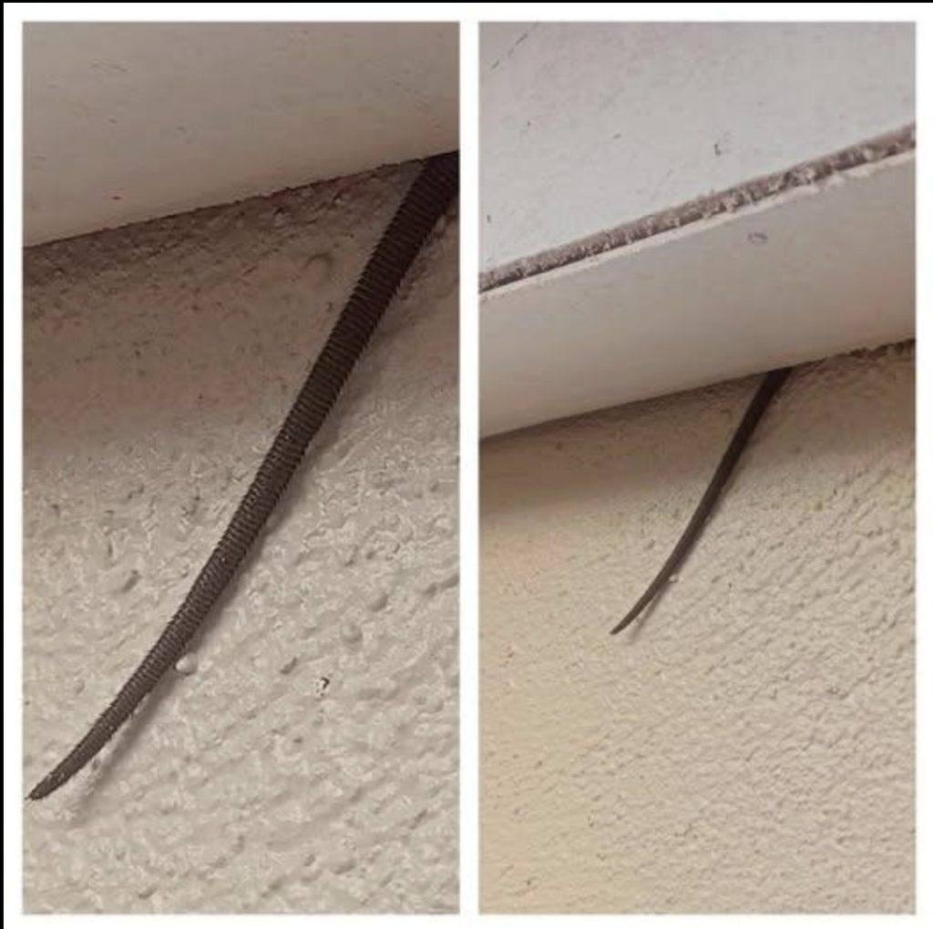 Spotted this sticking out from my ceiling — what is it? 👀 See it in the comments 👇