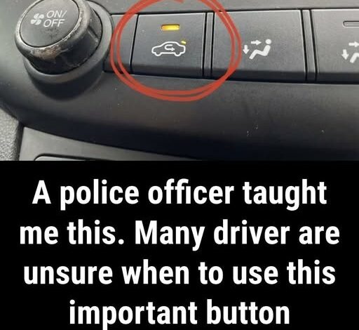 What Does the Air Recirculation Button in Your Car Actually Do? (And When to Use It!)