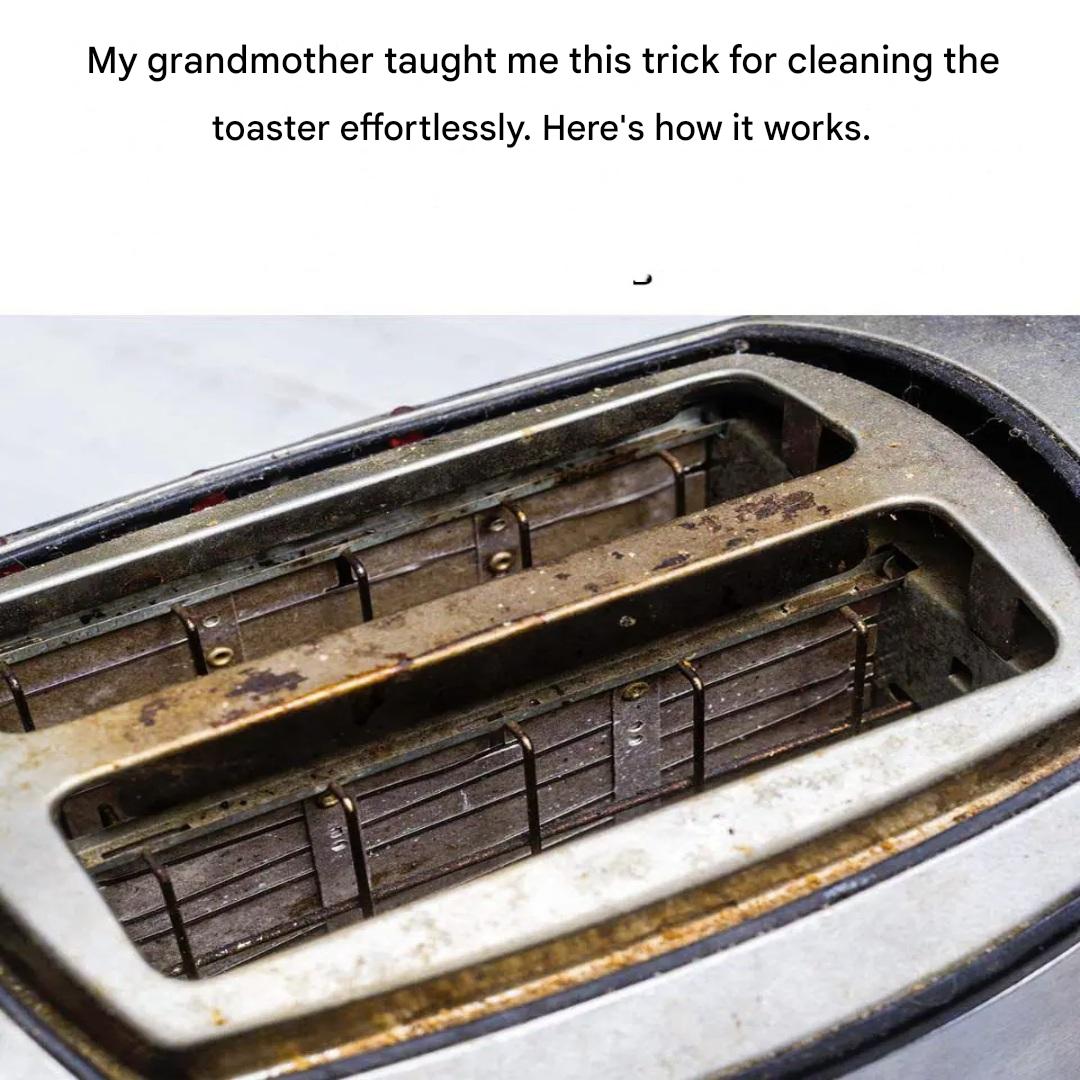 How do you clean the toilet seat?